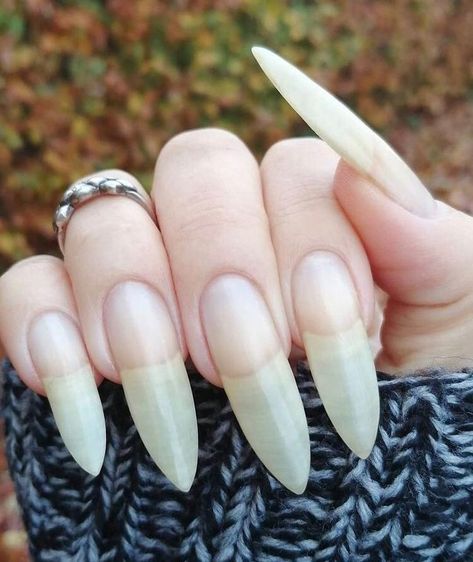 Long Natural-Ish Mountain Peak Nails Mountain Peak Nails, Seductive Nails, Natural Stiletto Nails, Long Sharp Nails, Shoes Tattoo, Nature Nails, Long Red Nails, Shoe Tattoos, Long Natural Nails