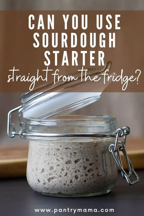 Use Sourdough Starter, Gluten Free Sourdough Starter, Sourdough Bread Starter, Dough Starter, Fermented Pickles, Starter Recipe, Gluten Free Sourdough, Homemade Sourdough Bread, Bread Starter