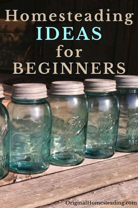 Vintage Blue Ball Jars in a line on a wooden porch Homestead Crafts, Homestead Skills, Frugal Kitchen, Happy Homemaking, Crafts Simple, Saving Money Frugal Living, Homesteading Ideas, Homesteading Diy, Homestead Farm