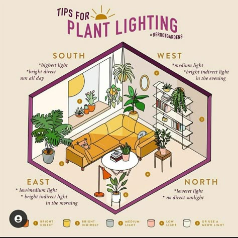 Plant Care Houseplant, Inside Plants, Growing Plants Indoors, House Plants Decor, House Plant Care, Plant Lighting, Room With Plants, House Plants Indoor, Plant Mom