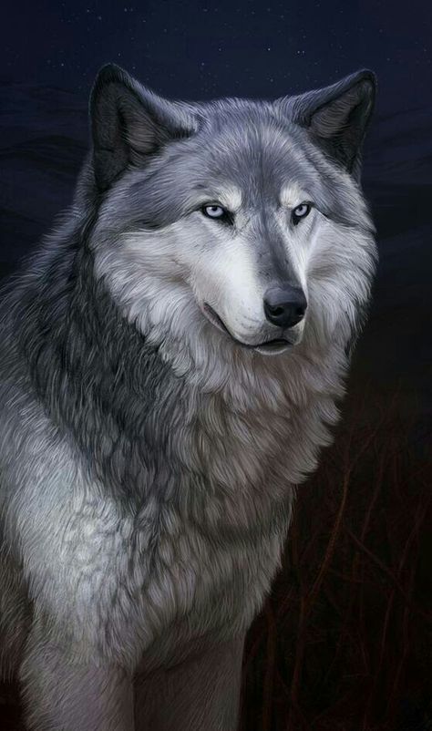 BEAUTIFUL GREY WOLF! Pictures Of Wolves Howling, Wolf Images, Wolf Artwork, Fantasy Wolf, Wolf Photos, Wolf Spirit Animal, Wolf Wallpaper, Wolf Love, Wolf Drawing