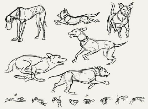 Dog Running Reference, Illustration Expressions, Running Drawing, Poses Manga, Archive Library, Walk Cycle, Dog Running, Animation Drawing, Run Cycle