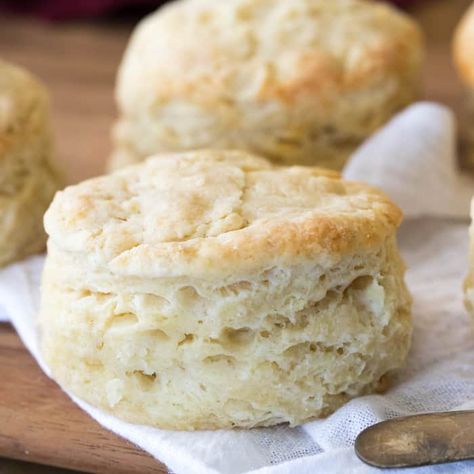 Homemade Biscuits Cream Cheese Biscuits, Sugar Spun Run, Raspberry No Bake Cheesecake, Easy Homemade Biscuits, Homemade Biscuits Recipe, Homemade Buttermilk Biscuits, Cheese Biscuits, Layered Desserts, Homemade Biscuits