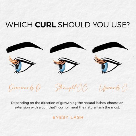 Cc Curl Vs D Curl Lashes, C Curl Vs D Curl Lashes, Natural Lash Growth, Lash Growth, C Curl, Curl Lashes, Curling Eyelashes, Lash Room, Eyelash Extentions