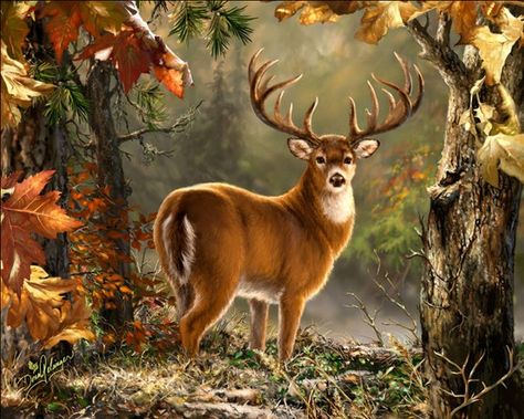 Whitetail ~ Dona Gelsinger Deer Artwork, Regnul Animal, Deer Pictures, Deer Painting, Deer Art, A Deer, Whitetail Deer, Cross Paintings, Arte Animal