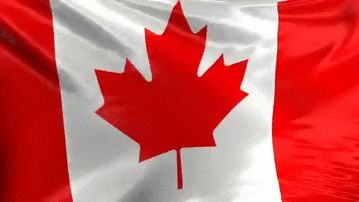 via GIPHY Canada Gif, Different Country Flags, Flag Gif, Ag Day, Child Behavior Chart, Red Photography, Happy Canada Day, La Pollution, Charitable Giving