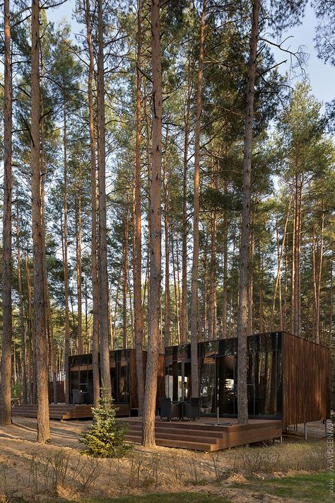 Wood Forest House, Forest Resort Architecture, Forest Hotel Architecture, Forest Hotel, Forest Resort, Eco Cabin, Forest Lodge, Forest Cabin, Wood Architecture