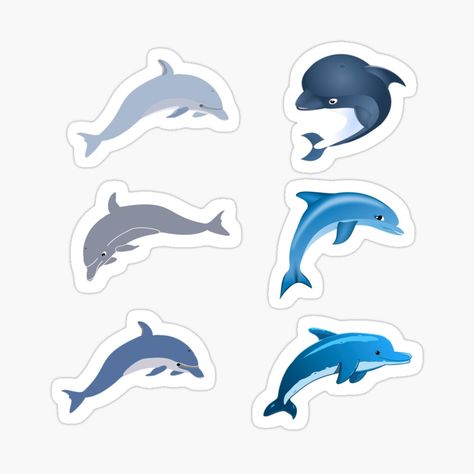 Cute Dolphins, Dolphin Cakes, Blue Dolphin, Sticker Set, Top Artists, Dolphins, Sticker Design, Independent Artist, Vinyl Sticker