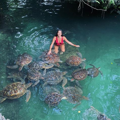 This little haven for sea turtles is designed to allow injured sea turtles (which are protected in Zanzibar) to recover before going back to the sea. You can visit, swim with and feed these turtles that are in the naturally occurring grotto they call home 🐢☘️ #zanzibarterminus ... DM us for all activities in zanzibar ▪︎Hotel recommendations ▪︎Airport Transfer/taxi ▪︎Wildlife safari in tanzania ... info👇🏽 Email📩: zanzibarterminus@gmail.com WhatsApp/Telegram 📲: +255759028881 Zanzibar Turtles, Forest Explorer, Swim With Turtles, Swimming With Turtles, Zanzibar Hotels, Natural Aquarium, Zanzibar Travel, Tanzania Travel, Top Places To Travel