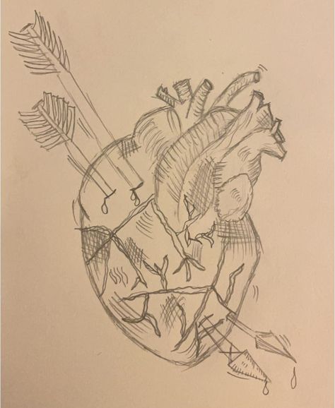 What is stronger than the human heart which shatters over and over and still lives ❤️‍🩹 Heart Anatomy, Shattered Heart, Human Heart, Heart Drawing, Still Life, Tatting, Humanoid Sketch, Human, Tattoos