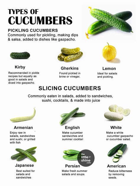 10 Types of Cucumbers and How to Use Them Types Of Cucumbers, Salad Lady, Gourd Vegetable, Cucumber Gazpacho, Veg Sandwich, Coffee Brewing Methods, Chilled Soup, Fruit Names, Plant Based Foods