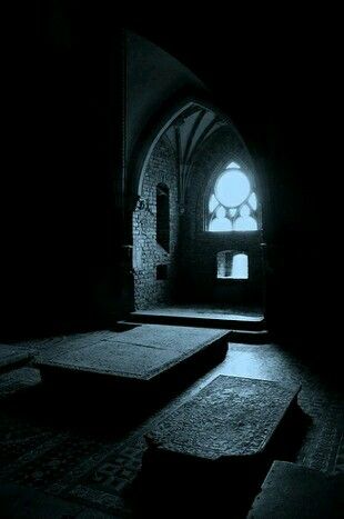 Gothic Aesthetic, Gothic Architecture, Dark Room, Narnia, Abandoned Places, Graveyard, Dracula, Dark Side, Dark Art