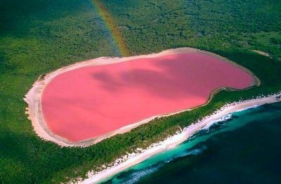 Lake Hillier from the sky in Australia Lake Hillier Australia, Pink Lake Australia, Heat Lightning, Lake Retba, Australia Life, Spec Evo, Middle Island, Desert Sahara, Mahadev Quotes