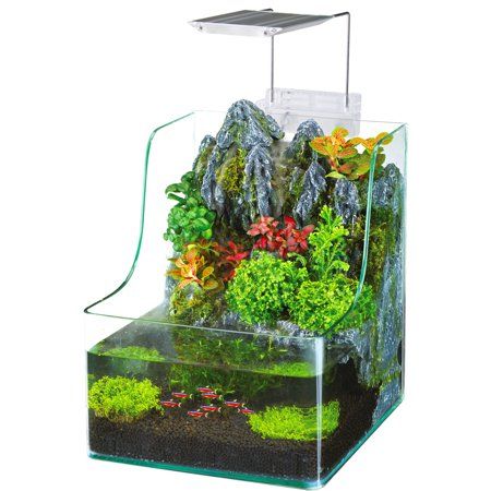 Desktop Aquarium, Terrarium Tank, Backyard Aquaponics, Aquaponics Fish, Aquaponics Diy, Indoor Water Garden, Aquatic Ecosystem, Turtle Tank, Home Aquarium