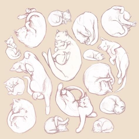 Deviantart Anime, Sleeping Drawing, Back Drawing, Sleeping Cats, Cat Drawing Tutorial, Kitten Drawing, Cat Anatomy, 2024 Art, Cat Sketch