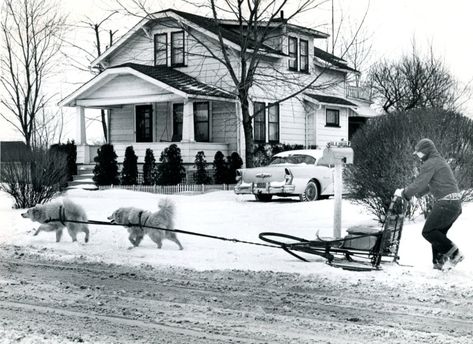 East Akron History... typical Winter in Northeast Ohio... LoL Urban Housing, National Puppy Day, Ideas For Stories, Ohio History, Puppy Day, Sled Dog, Summit County, Akron Ohio, Northeast Ohio