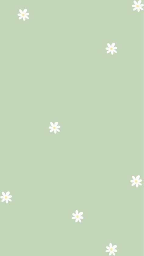 Wallpaper Backgrounds Green Pastel, Slay Wallpapers, Pastel Sage Green, Mint Green Wallpaper Iphone, Ipad Mini Wallpaper, Green Wallpapers, Mint Green Wallpaper, Mint Wallpaper, Wallpaper Iphone Disney Princess