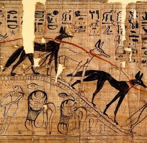 Snake Worship, Ancient Kemet, Howleen Wolf, Ancient Africa, Egypt Museum, Egypt Culture, Egyptian Museum, Book Of The Dead, Ancient Egypt Art