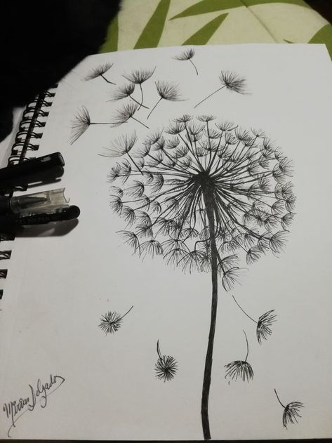 Kodama Tattoo, Dandelion Drawing, Pen Art Work, Pen Art Drawings, Flower Art Drawing, Easy Drawings Sketches, Amazing Drawings, Book Art Diy, Doodle Art Designs