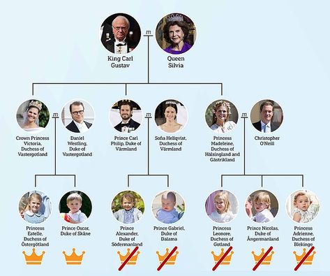 Family tree: This diagram shows King Carl XVI Gustaf and his family. The five right-hand g... Royal Family Tree, Royal Titles, Royal Family Trees, Royal Family Pictures, Eldest Daughter, Swedish Royalty, Prince Carl Philip, Princess Estelle, Danish Royal Family