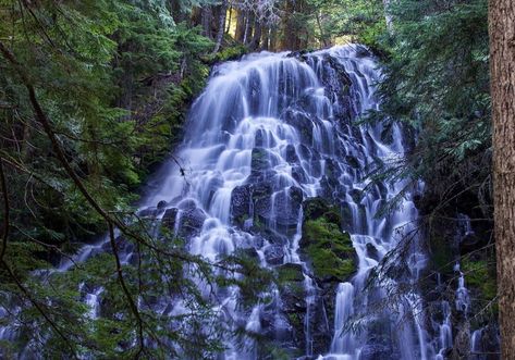 Ramona Falls Trailhead Waterfalls In Oregon, Ramona Falls, Oregon Waterfalls, Picnic Outdoor, Mount Hood, Beautiful Waterfalls, Travel Inspiration, Oregon, Most Beautiful