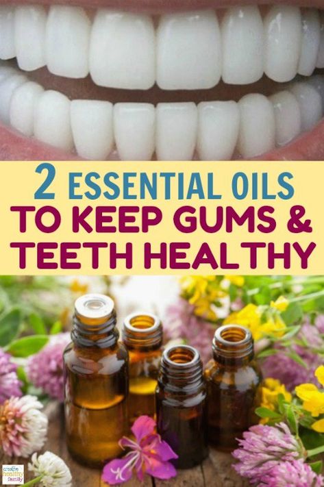 Learn how to keep your gums and teeth healthy in a natural way with two essential oils. Homemade Medicine, Healthy Gums, Teeth Health, Gum Care, Gum Health, Teeth Care, Natural Remedy, Tooth Decay, Healthy Teeth