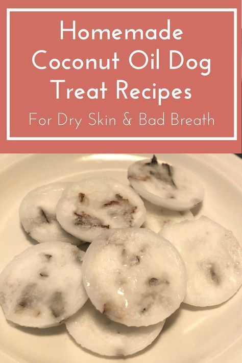 Coconut Oil Dog Treats, Foods Dogs Can Eat, Homemade Coconut Oil, Pet Treats Recipes, Dog Treat Recipe, Dog Treats Homemade Easy, Easy Dog Treat Recipes, Coconut Oil For Dogs, Dog Biscuit Recipes