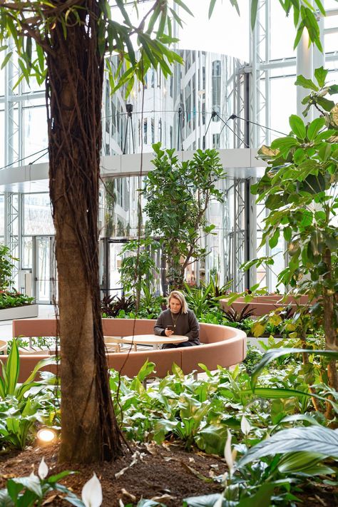 Haagse Poort Emotion Museum, Green Atrium, Botanical Library, Interior Library, Terrace Landscape, Terraced Landscaping, Urban Forest, Real Nature, Eco Green