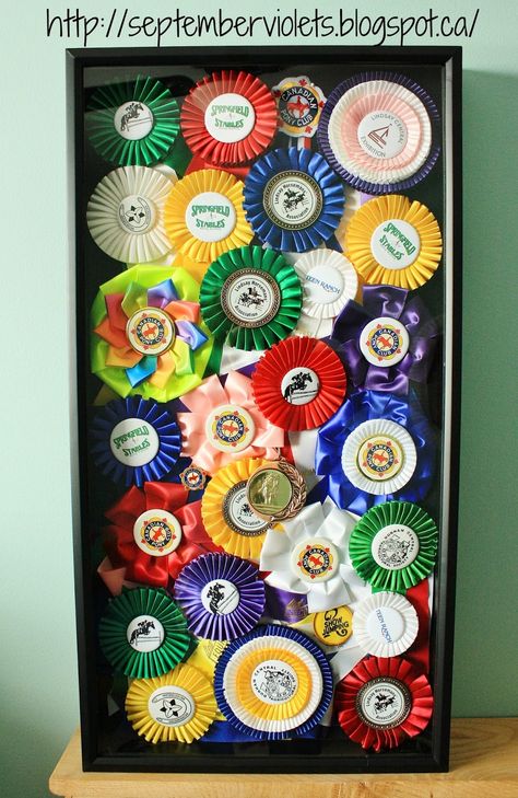 Horse Shadow Box, Horse Ribbon Display, Show Ribbon Display, Horse Memory, Horse Show Ribbons, Horse Ribbons, Horse Room, Ribbon Display, Dog Grooming Salons