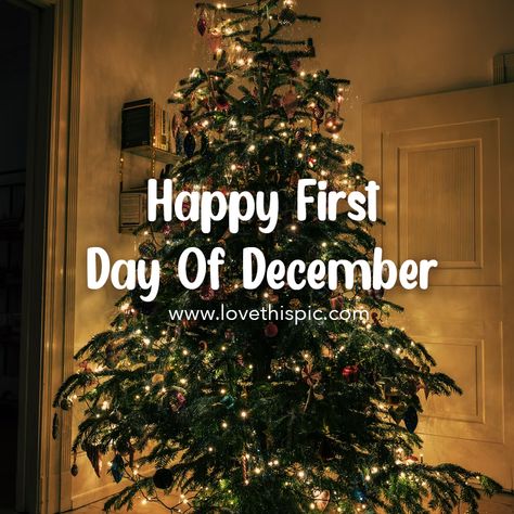 Happy First Day Of December, December Wishes, First Day Of December, December First, Bible References, December Pictures, December Images, Quotes Holiday, December Quotes