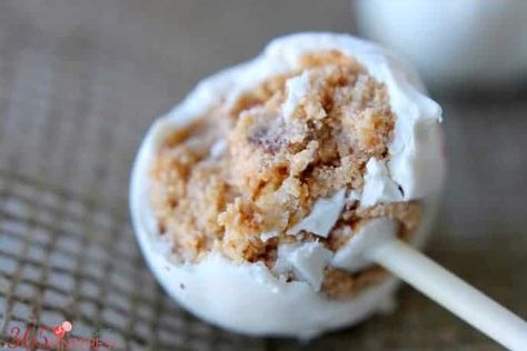 Snickerdoodle Cake Pops via @nmburk Chocolate Doodle, Snickerdoodle Bread, Snickerdoodle Cake, Doodle Cake, Pumpkin Sheet Cake, Cake Dip, Princess Pinky Girl, Chocolate Cake Pops, Pinky Girl