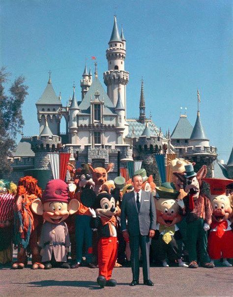 justinenatino Chateau Disney, Disneyland World, Walter Elias Disney, Disneyland Pictures, Retro Disney, Wonderful World Of Disney, Parc D'attraction, Disney Facts, Disney Vintage