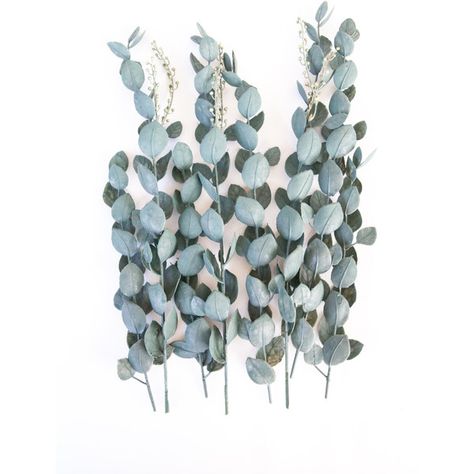 5 Artificial Eucalyptus Stems in Blue Green Artificial Flowers ITEM... ($12) ❤ liked on Polyvore featuring home, home decor, floral decor, fake silk flowers, silk flowers, faux flowers and silk flower bouquets Flowers Eucalyptus, Fake Flower Arrangements, Eucalyptus Stems, Fake Flower Bouquet, Feuille Eucalyptus, Green Bouquet, Artificial Eucalyptus, Silk Flower Bouquets, Eucalyptus Greenery