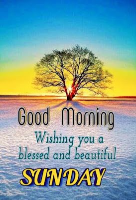 Sunday Good Morning Images Sunday Morning Pics, Sunday Good Morning Images, Happy Sunday Hd Images, Good Morning Family Quotes, Nice Good Morning Images, Good Morning Sun, Happy Sunday Images, Good Morning Sunday Images, Happy Sunday Morning