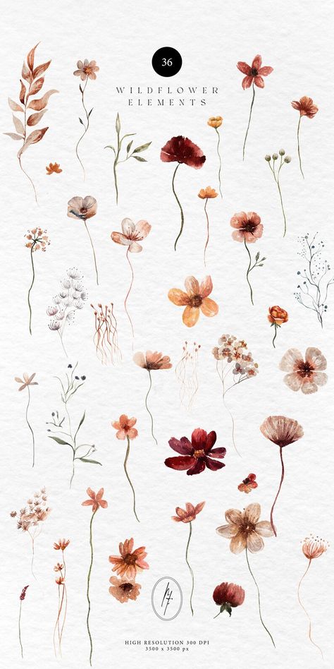 Dried Flowers Png, Wildflower Clipart, Wildflower Drawing, Spring Floral Arrangements, Hand Drawn Floral, Flowers Png, Drawn Floral, Floral Clipart, Watercolor Flower Art