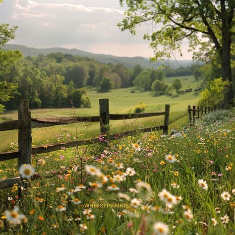 Whimsy Prairie Prairie Aesthetic, Countryside Scenery, Prairie Landscape, Spanish Projects, 2025 Style, Country Field, Canadian Prairies, Country Things, Wildflower Garden