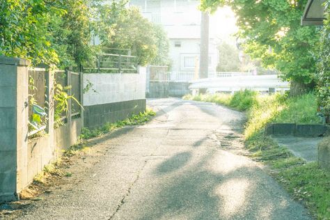 Summer Scenery, Koi Fish Pond, Fish Pond, Cinematic Photography, Green Trees, Green Aesthetic, Anime Background, Anime Style, Pretty Pictures