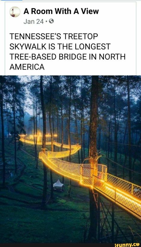 Treetop Skywalk, Manifesting Board, Golden Quotes, Room With A View, Travel Inspiration Destinations, Fun Places To Go, Travel Locations, Dream Travel Destinations, Future Travel