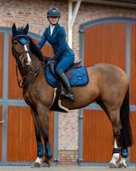 Dressage Fashion, Horse Riding Aesthetic, Equestrian Dressage, Horse Riding Quotes, Horseback Riding Outfits, Show Jumping Horses, Equestrian Aesthetic, Horse Riding Clothes, English Horse