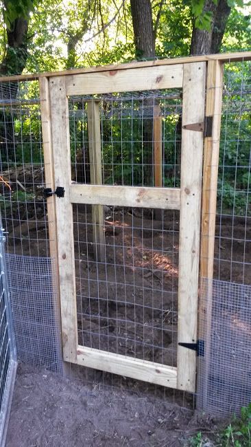 Easy DIY Chicken Run Door - Scott Family Homestead Chicken Run Door, Chicken Barn, Chicken Pen, Chicken Tractors, Chicken Coup, Chicken Coop Run, Chicken Tractor, Urban Chickens, Chicken Life