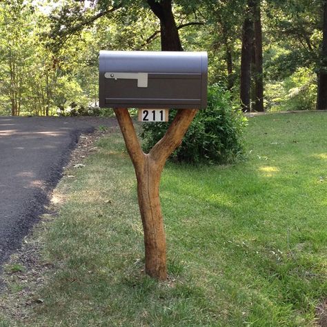 Tree limb mailbox post Driftwood Mailbox Post, Log Mailbox Post, Tree Mailbox Ideas, Country Mailbox Ideas Rustic, Country Mailbox Ideas, Diy Mailbox Post, Mailbox Post Ideas, Rustic Mailbox, Letterbox Ideas