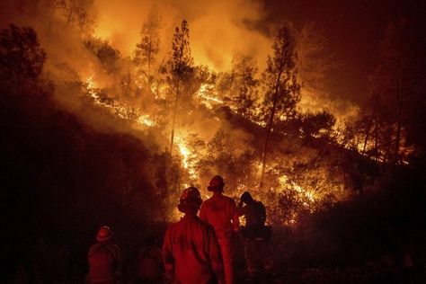 Noah Berger, John Locher and Ringo H. W. Chiu of Associated Press - The Pulitzer Prizes Wasp Nest, California Wildfires, Net Neutrality, Water Storage Tanks, California History, Red Barns, Fire Department, The Ranch, Northern California