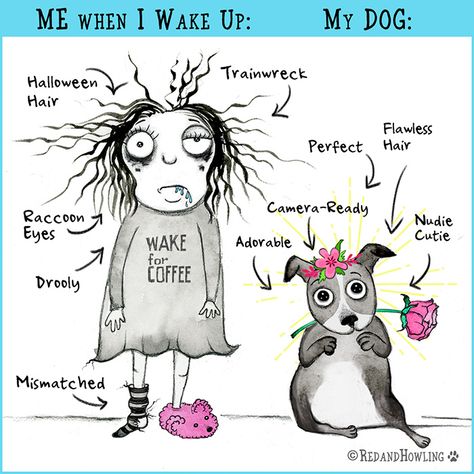 My Dog: Effortlessly Fabulous – Red and Howling Red And Howling, Pets Quotes, Billy B, Dog Quotes Love, Crazy Dog Lady, Dogs Lover, Dog Lady, Alarm Clocks, I Wake Up