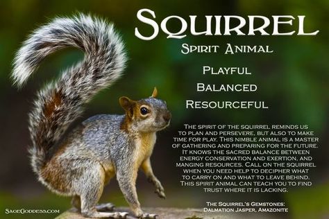 Visit the post for more. Animal Totem Spirit Guides, Spirit Animal Meaning, Animal Meanings, Spirit Animal Totem, Animal Spirit Guide, Spiritual Animal, Animal Spirit Guides, Animal Medicine, Animal Guides