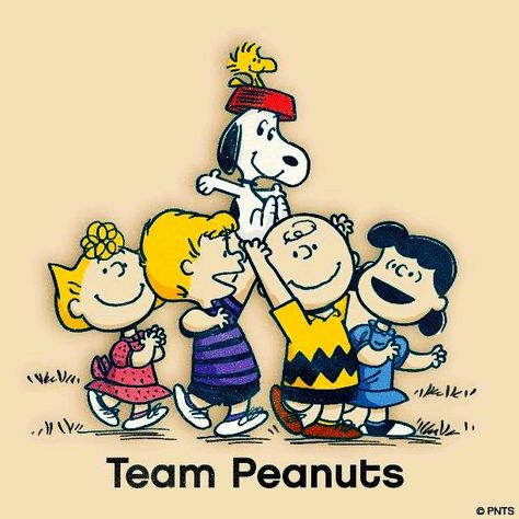 Peanuts Images, Snoopy Family, Charlie Brown And Friends, Sally Brown, Woodstock Snoopy, Brown And Friends, Snoopy And Charlie Brown, Peanut Gang, Peanuts Cartoon