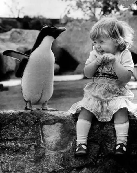 A funny penguin making a little girl laugh. - Imgur تمثال الحرية, Penguin Facts, Funny Photos Of People, Heartwarming Pictures, Child Smile, Happy Pictures, Photo Vintage, White Photo, Management Tips