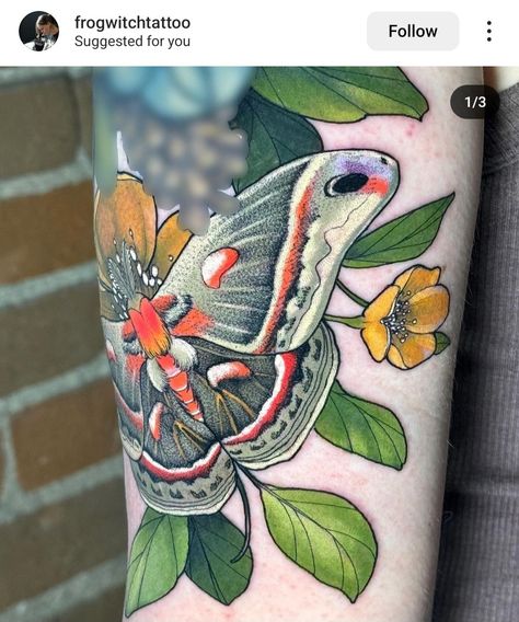 Neotrad Moth, Vintage Botanical Tattoo, Paisley Tattoos, Traditional Moth Tattoo, Realistic Butterfly Tattoo, Moth Tattoo Design, Traditional Tattoo Inspiration, Amanda Jean, Traditional Tattoo Flowers