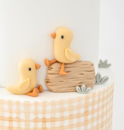 One Year Photoshoot, Baby Shower Cakes Neutral, Barnyard Cake, Duck Cake, Bird Cake, Birthday Plans, Wildflower Baby Shower, Bird Cakes, Birthday Events