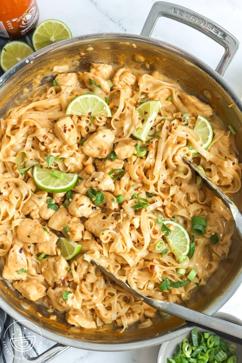 Creamy Peanut Noodles With Chicken, Chicken And Peanut Noodles, Peanut Sauce Recipe Noodles, Thai Peanut Noodles With Chicken, Asian Chicken And Noodles Recipe, Creamy Peanut-lime Chicken With Noodles, Creamy Peanut Noodles, Thai Peanut Chicken Noodles, Chicken With Noodles Recipes