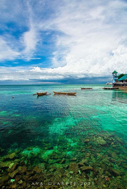 Nalusuan island, Mactan Islands, Cebu City Philippines Philippines Vacation, Mactan Island, Philippines Beaches, Cebu City, Exotic Beaches, Philippines Travel, Cebu, Rio De Janeiro, Wonderful Places